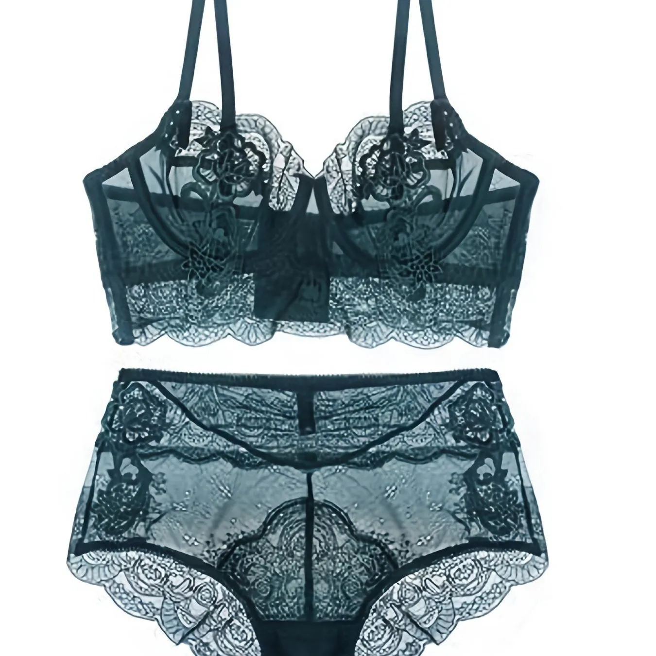 Embroidered Lace Push Up Bra Panty Lingerie Set