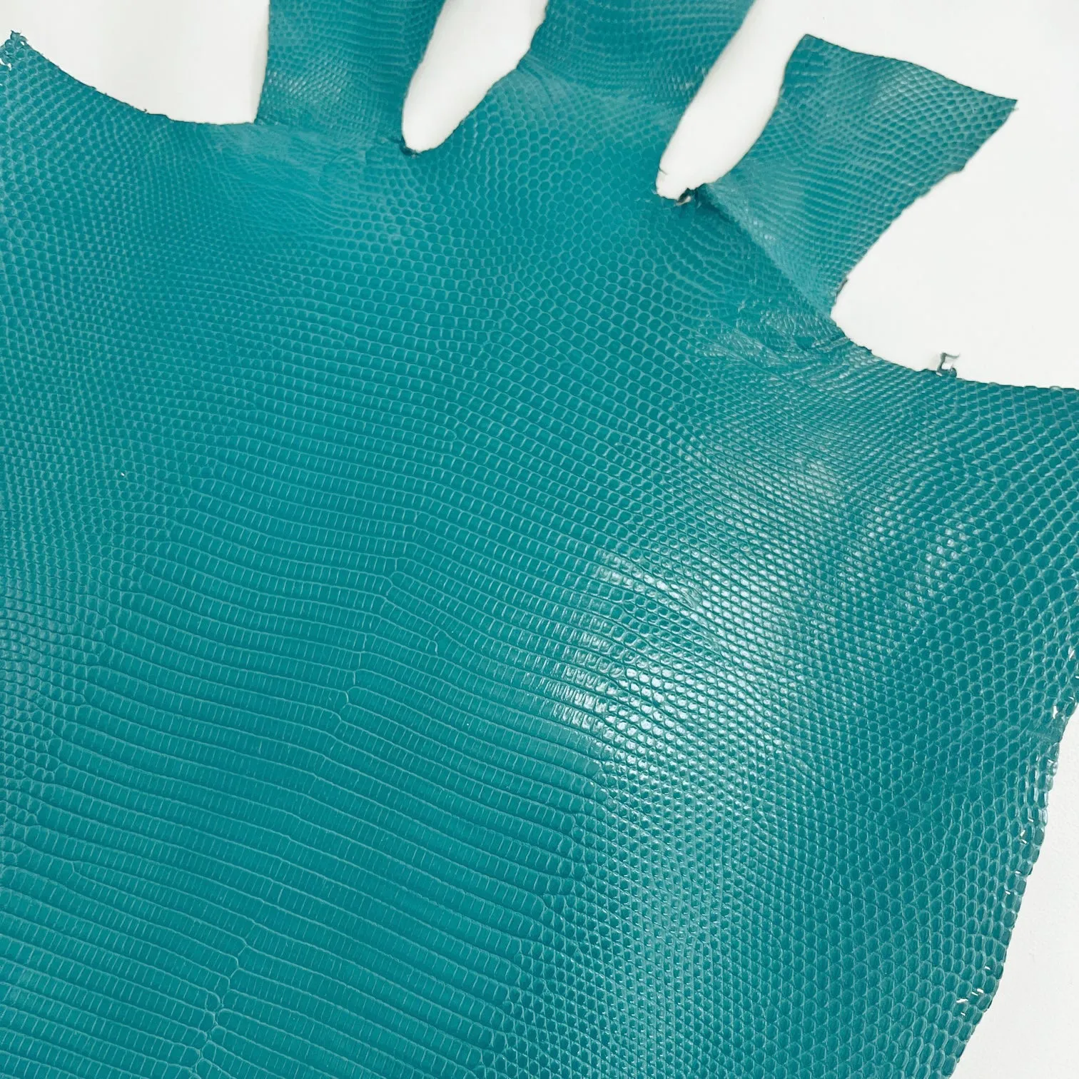 Lizard Skin | Turquoise (Back Cut)