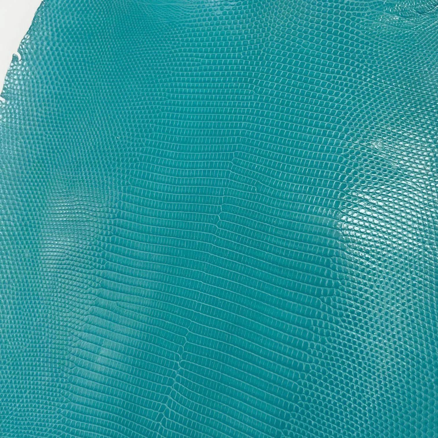 Lizard Skin | Turquoise (Back Cut)