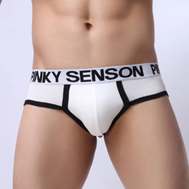 Men Underwear Gay Cotton Sexy Mens Underwear Briefs Men's Briefs Slip Hombre Underwear Men Penis Underpants Man Panties Slips